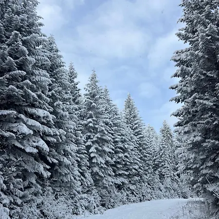 Zazi Pieniny By Zazi Červený Kláštor